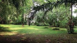 King Albert Park (D21), Detached #586544491